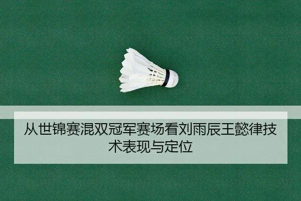 从世锦赛混双冠军赛场看刘雨辰王懿律技术表现与定位